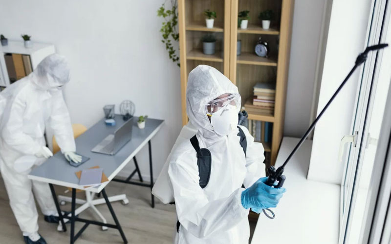 Pest Control services in Al Warqa